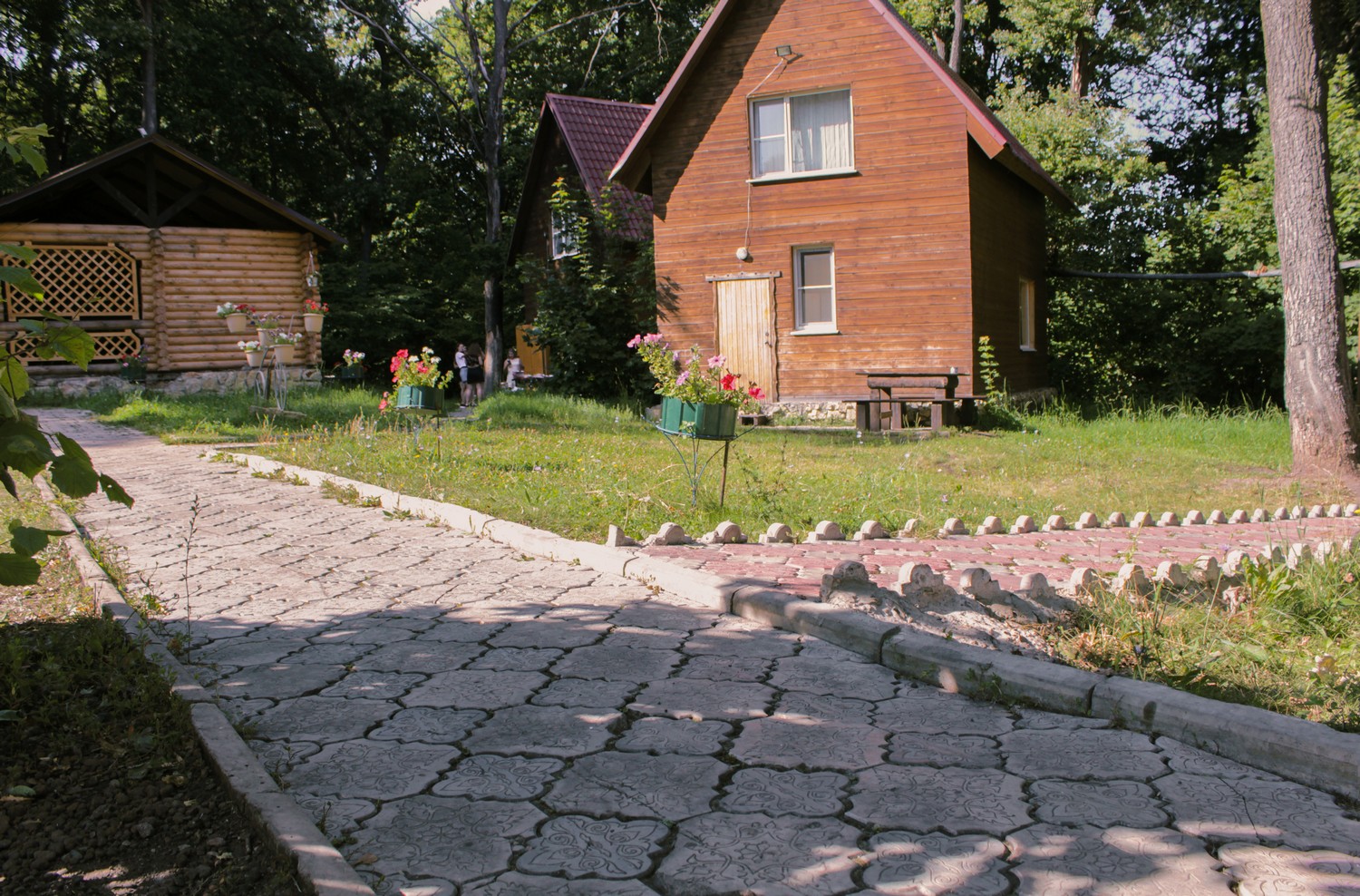 Лесная территория